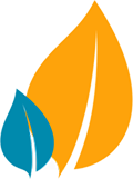 Project Icon